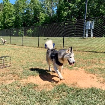 Columbia Doggie Park